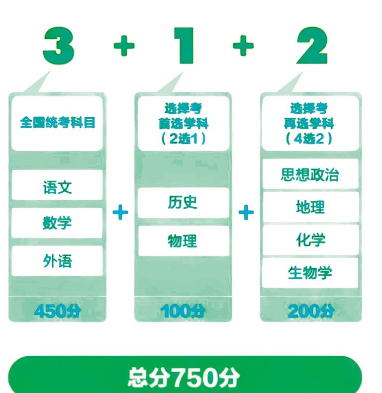 2025新澳最准的免费资料;精选解释解析落实